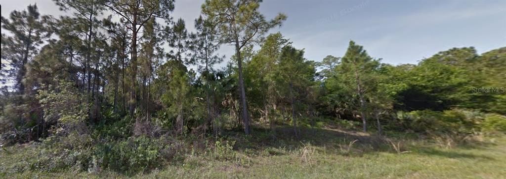 待售: $100,000 (1.13 acres)