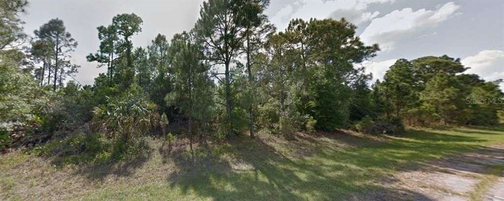 待售: $100,000 (1.13 acres)