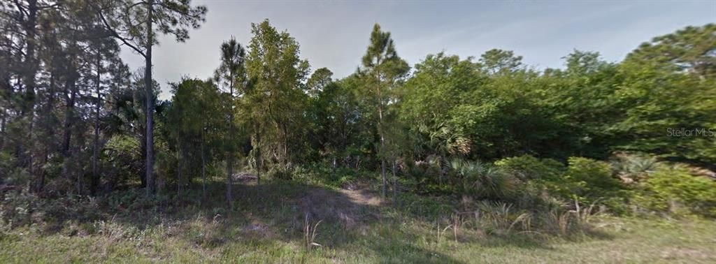 待售: $100,000 (1.13 acres)