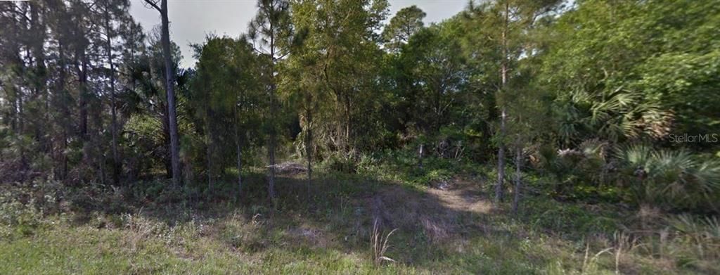 待售: $100,000 (1.13 acres)