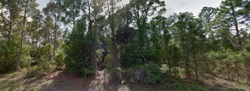 待售: $100,000 (1.13 acres)