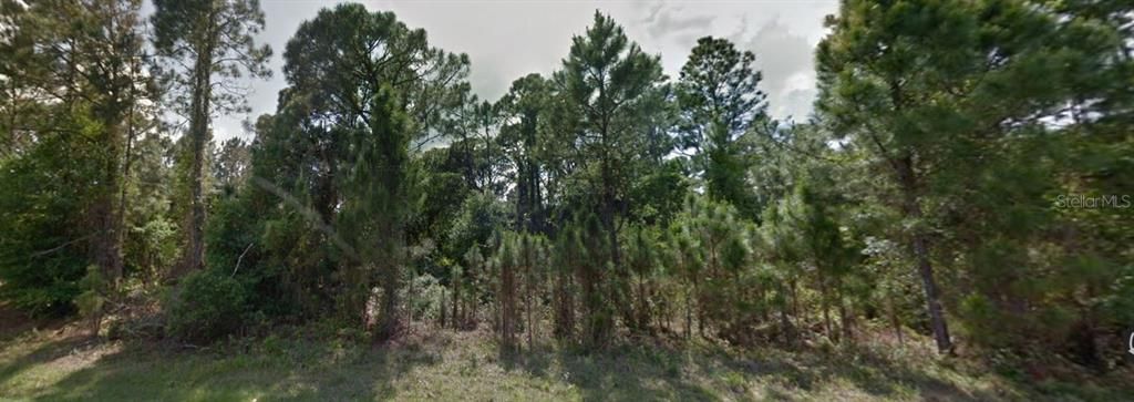 待售: $100,000 (1.13 acres)