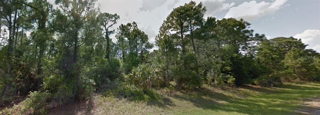 待售: $100,000 (1.13 acres)