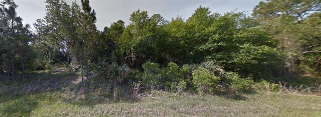 待售: $100,000 (1.13 acres)