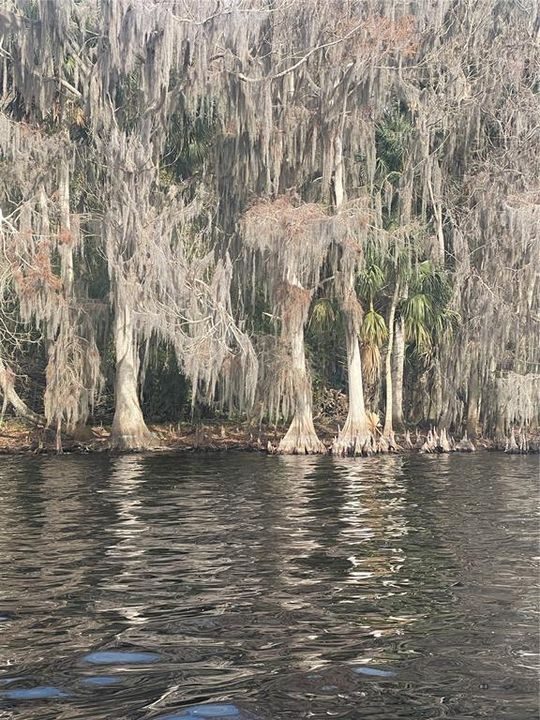 For Sale: $449,000 (1.34 acres)