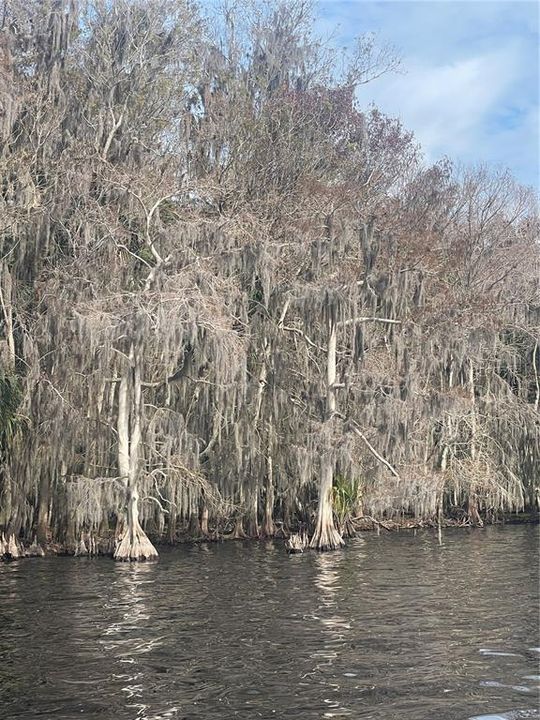 For Sale: $449,000 (1.34 acres)