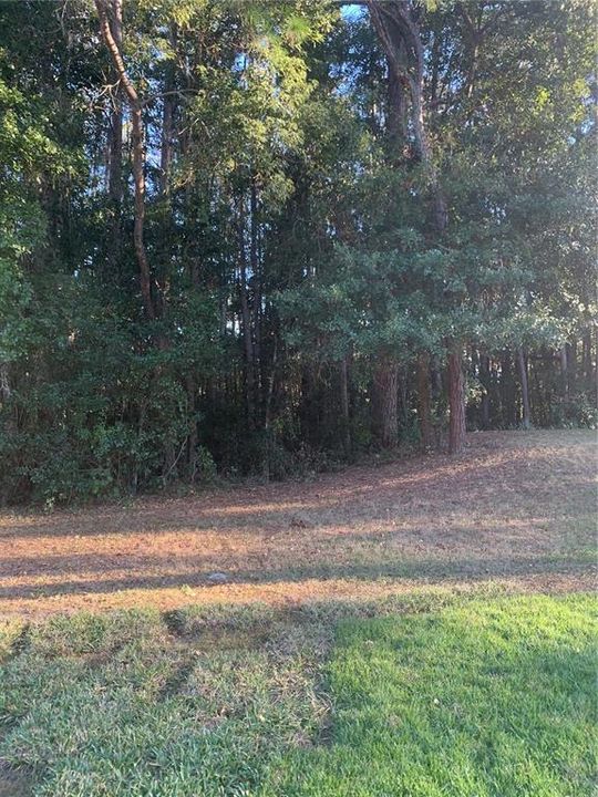 Recently Sold: $159,000 (1.23 acres)