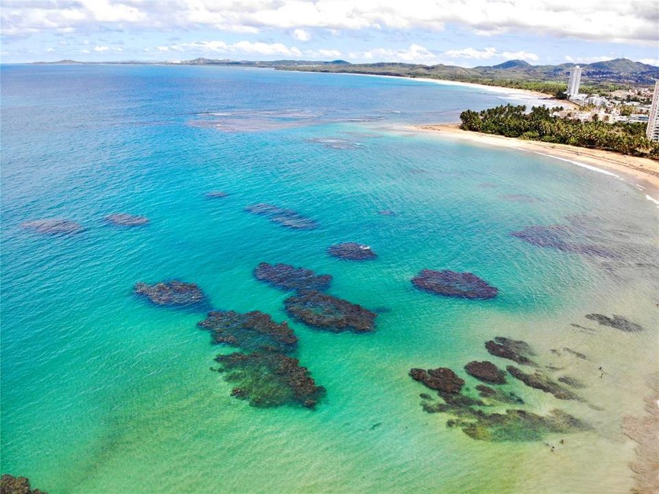 出租: $4,500 (2 贝兹, 2 浴室, 1012 平方英尺)