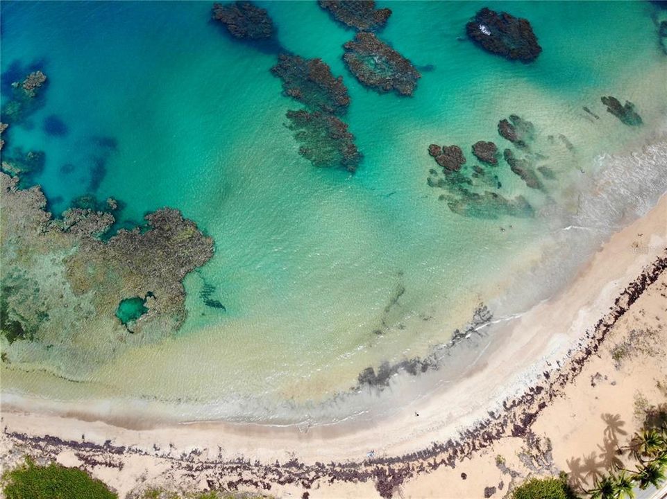 出租: $4,500 (2 贝兹, 2 浴室, 1012 平方英尺)