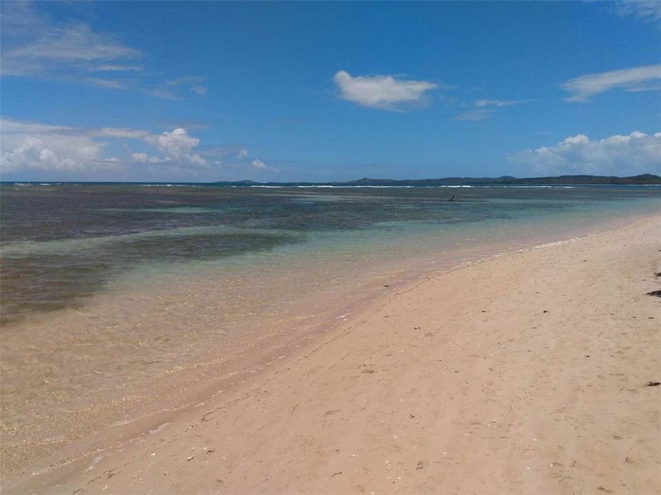 出租: $4,500 (2 贝兹, 2 浴室, 1012 平方英尺)