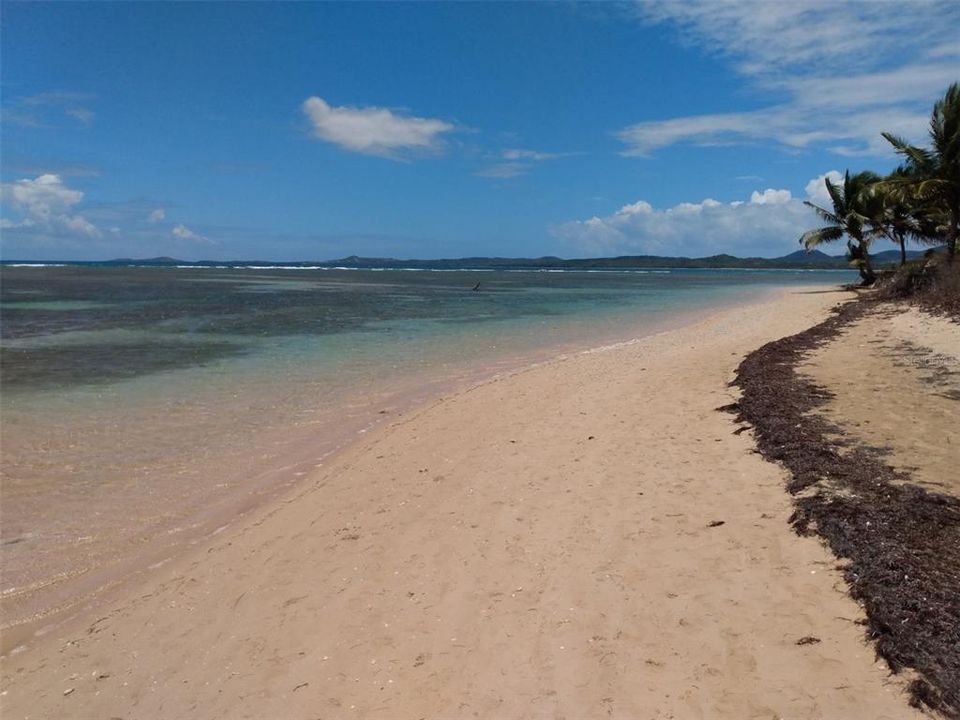 出租: $4,500 (2 贝兹, 2 浴室, 1012 平方英尺)