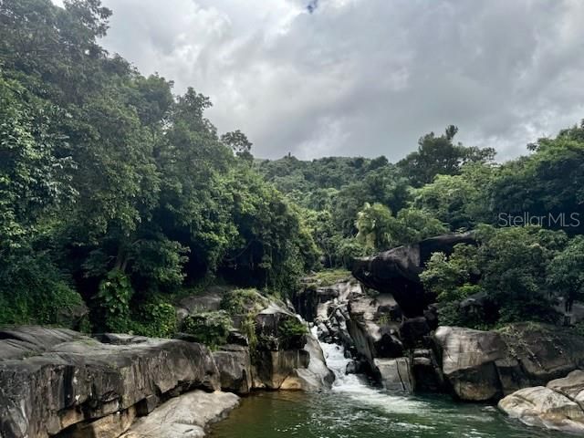 出租: $4,500 (2 贝兹, 2 浴室, 1012 平方英尺)