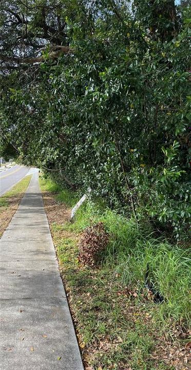 合同活跃: $1,750,000 (11.10 acres)