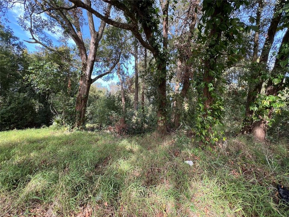 合同活跃: $1,750,000 (11.10 acres)