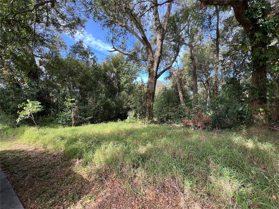 合同活跃: $1,750,000 (11.10 acres)