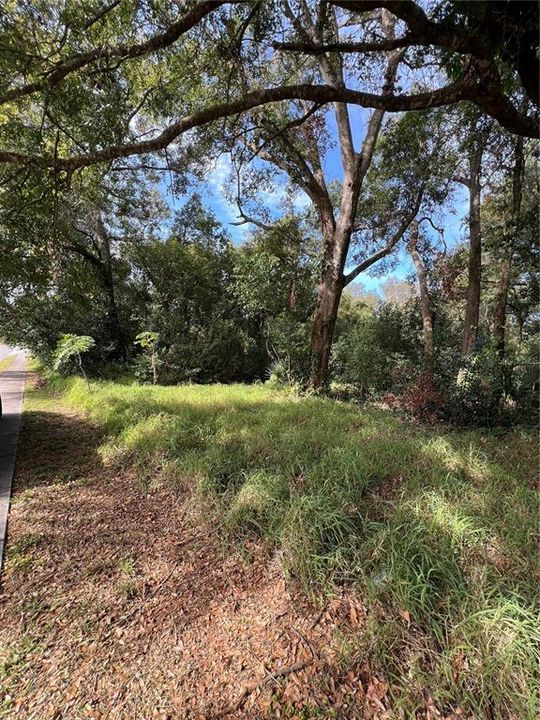 合同活跃: $1,750,000 (11.10 acres)