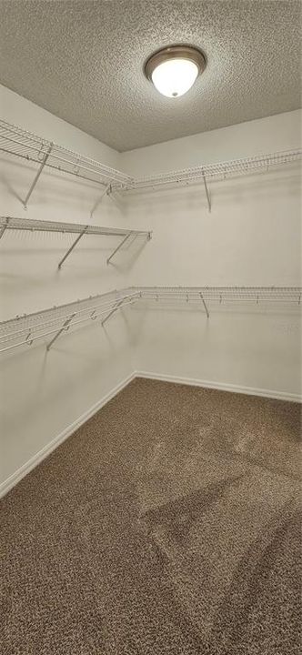 待售: $284,900 (3 贝兹, 2 浴室, 1909 平方英尺)