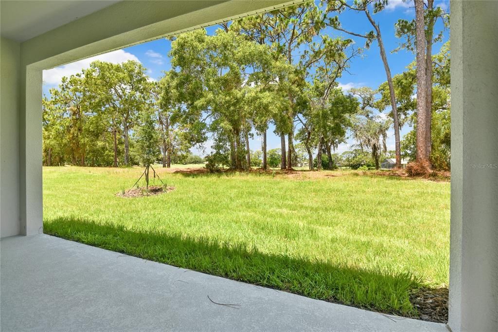 Под контрактом: $464,999 (3 спален, 2 ванн, 1887 Квадратных фут)