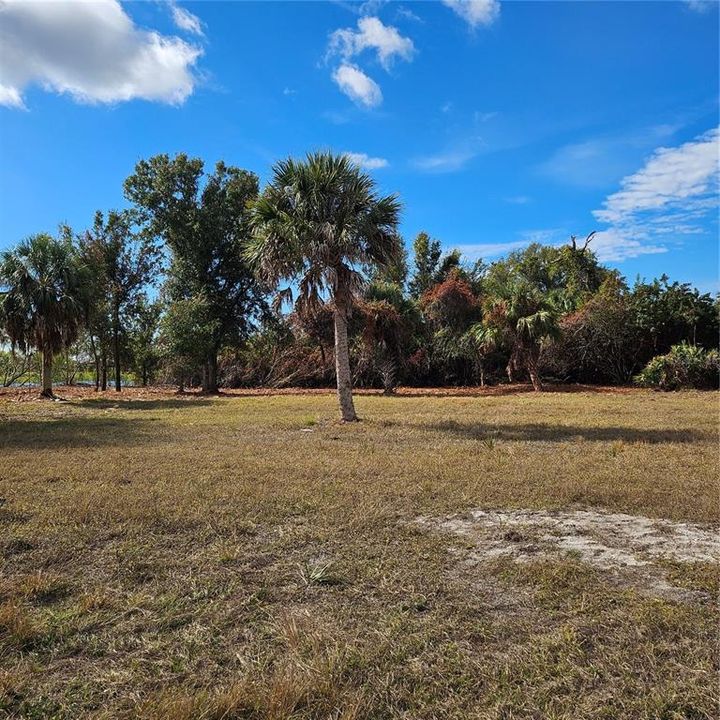 На продажу: $154,500 (0.43 acres)