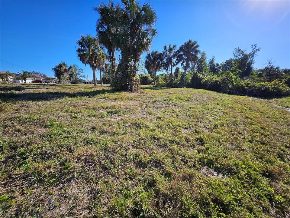 На продажу: $154,500 (0.43 acres)