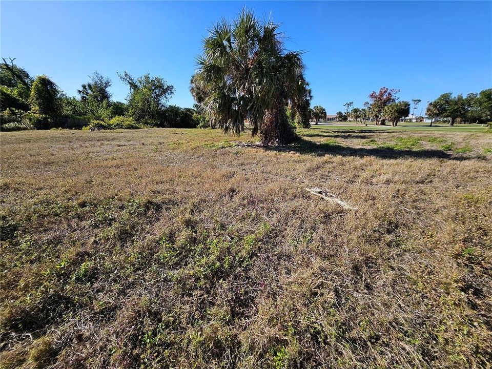 На продажу: $154,500 (0.43 acres)
