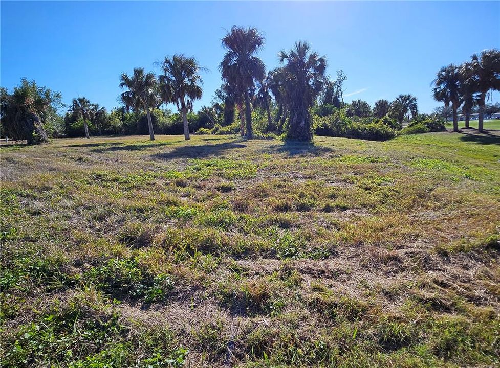 На продажу: $154,500 (0.43 acres)