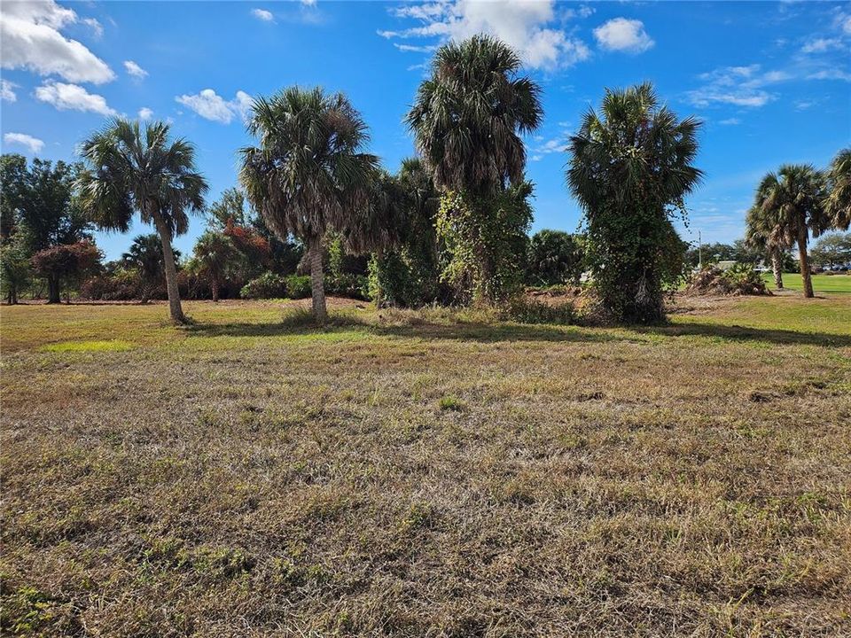 На продажу: $154,500 (0.43 acres)