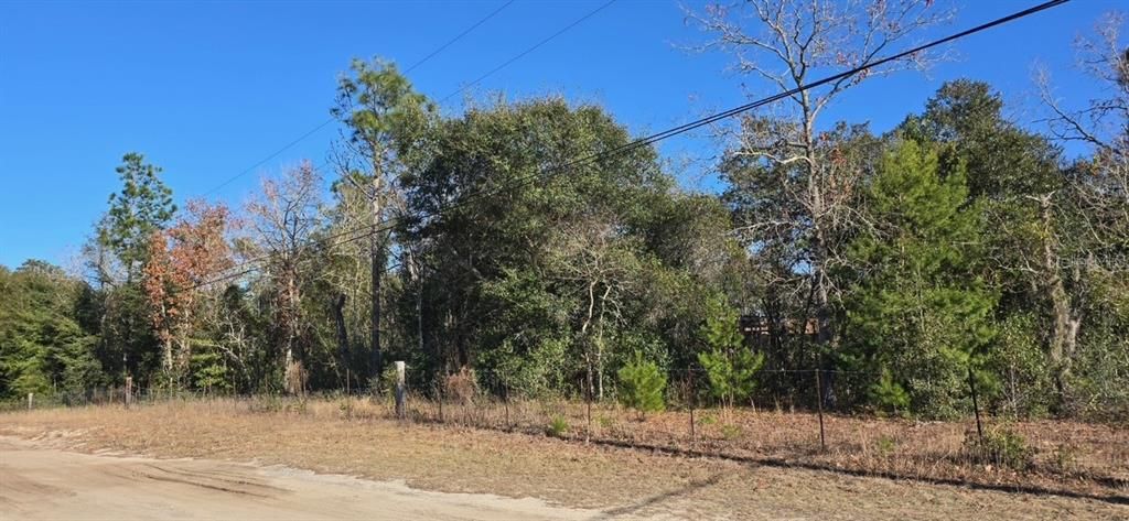 待售: $35,000 (1.00 acres)