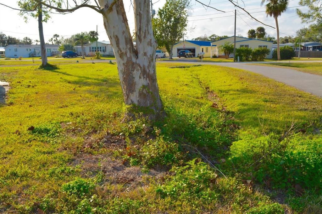 待售: $90,000 (0.37 acres)