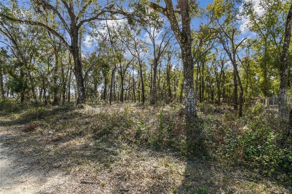 For Sale: $490,000 (5.00 acres)