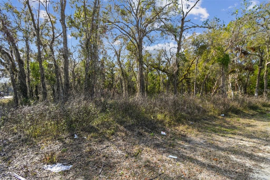 For Sale: $490,000 (5.00 acres)