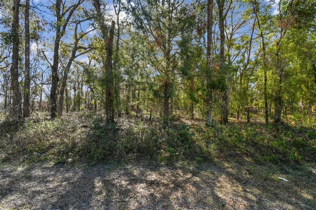 For Sale: $490,000 (5.00 acres)