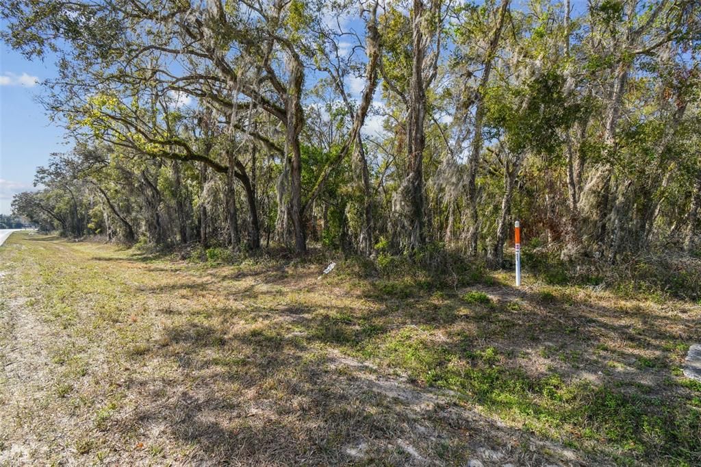 For Sale: $490,000 (5.00 acres)