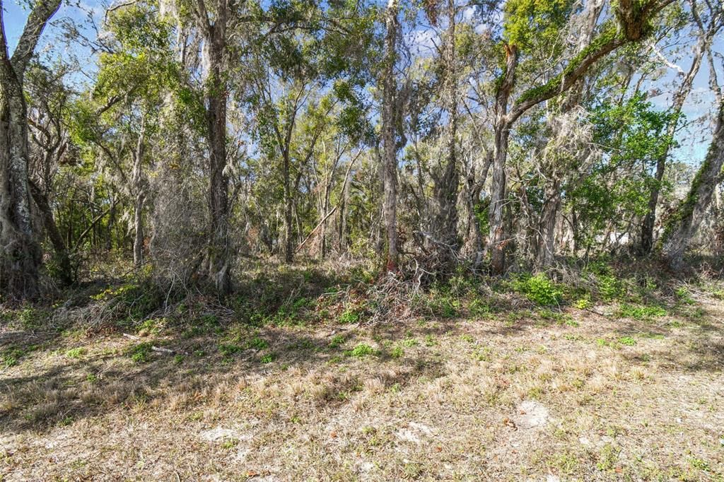 For Sale: $490,000 (5.00 acres)