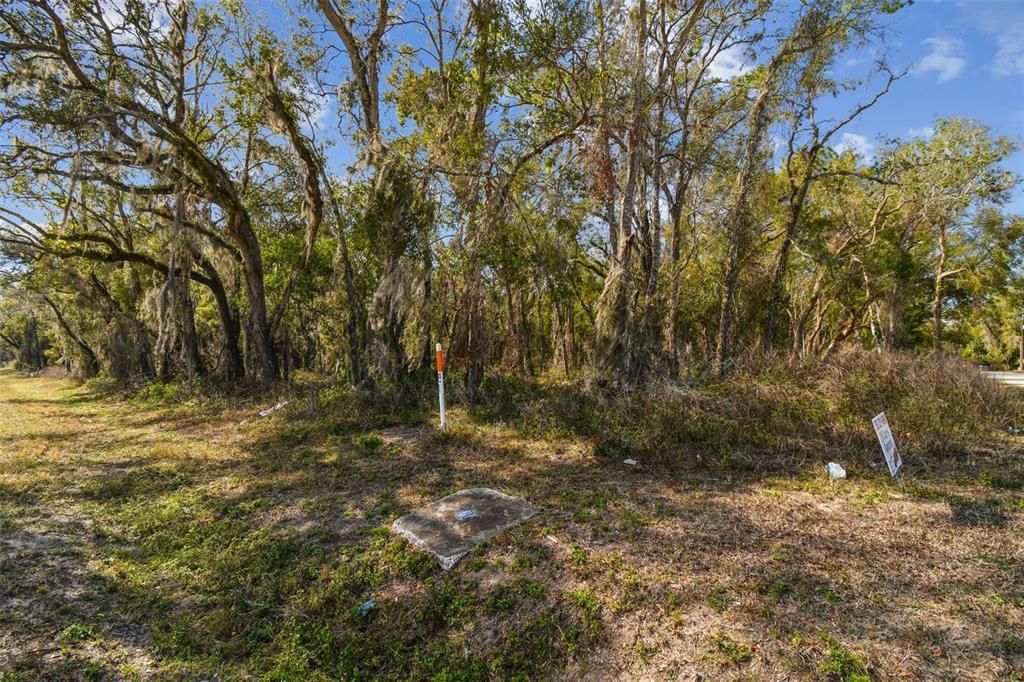 For Sale: $490,000 (5.00 acres)