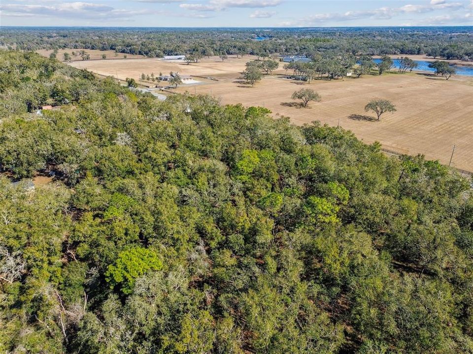 For Sale: $490,000 (5.00 acres)