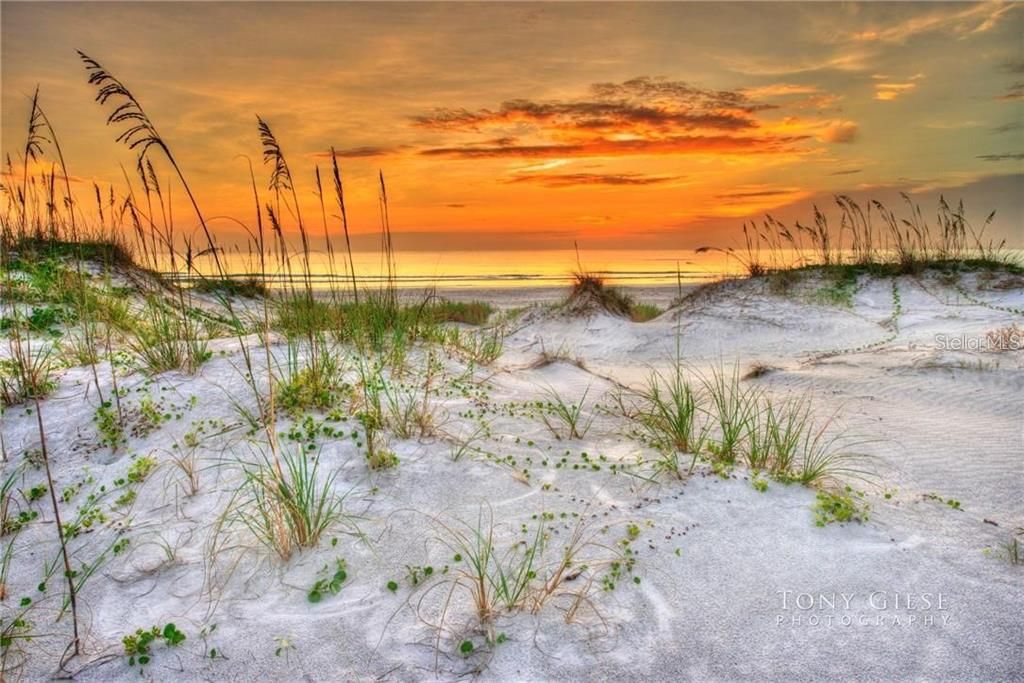 For Sale: $775,000 (0.23 acres)