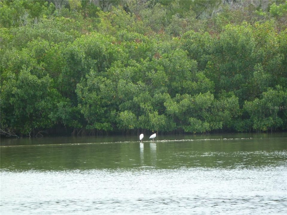 For Sale: $775,000 (0.23 acres)