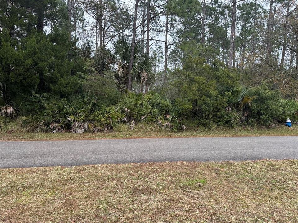Recently Sold: $57,500 (0.23 acres)