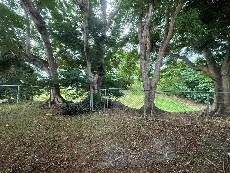 合同活跃: $320,000 (4 贝兹, 2 浴室, 2410 平方英尺)