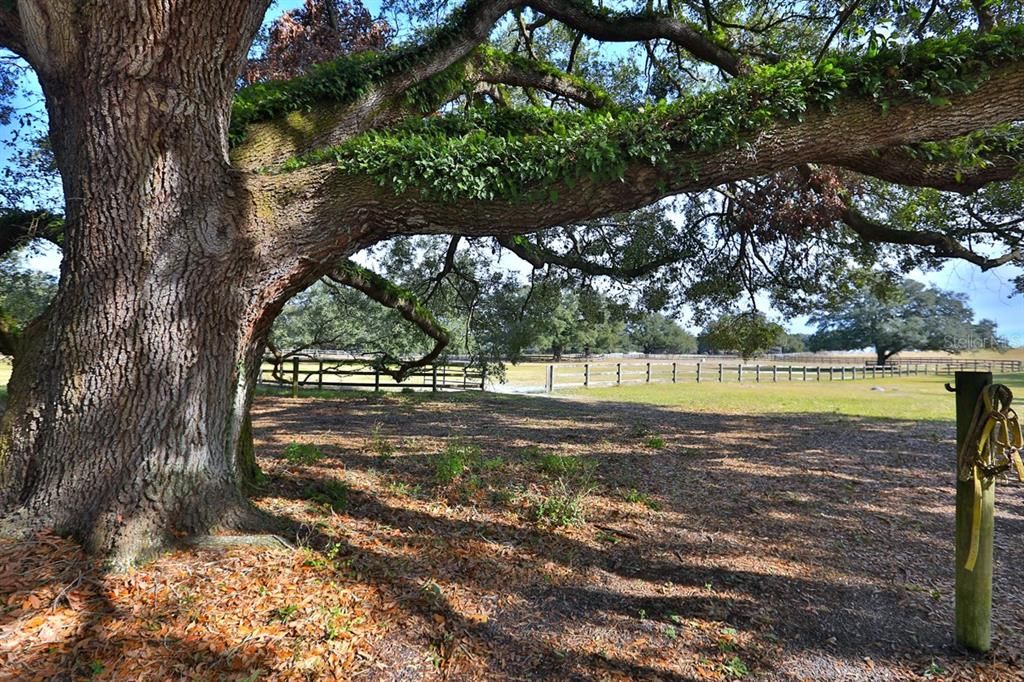 待售: $2,789,000 (4 贝兹, 4 浴室, 2724 平方英尺)