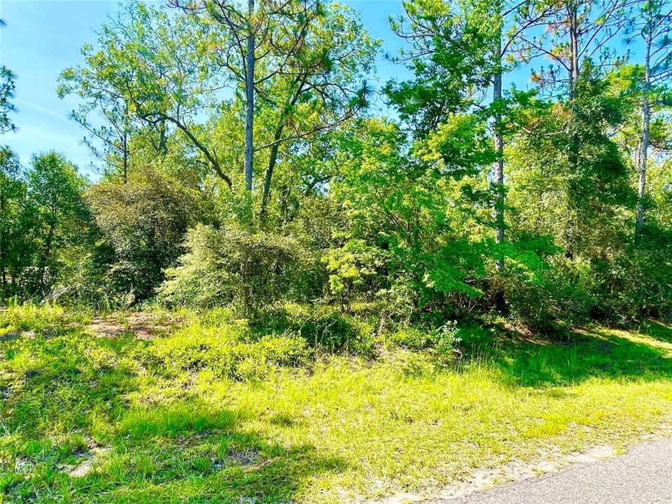 En Venta: $28,000 (0.31 acres)