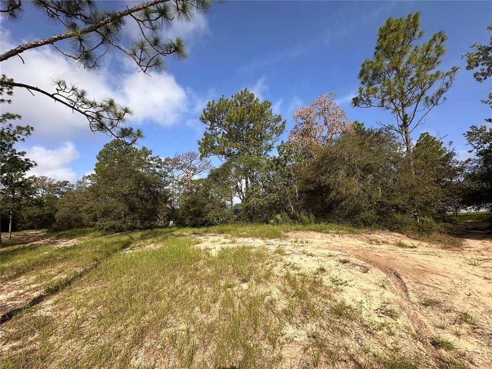 En Venta: $28,000 (0.31 acres)