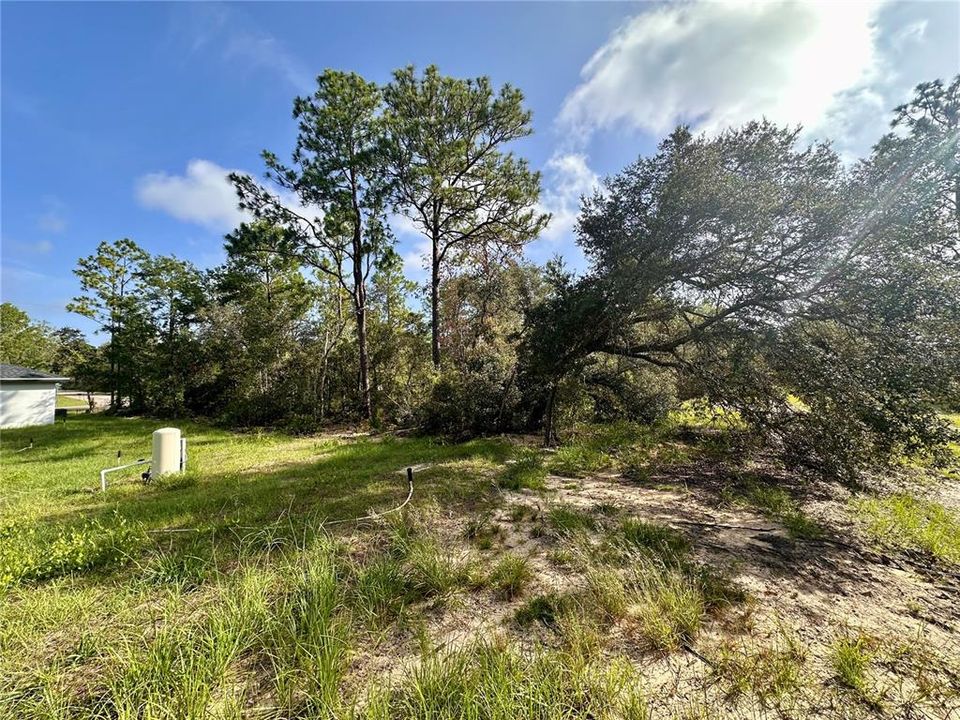 En Venta: $28,000 (0.31 acres)