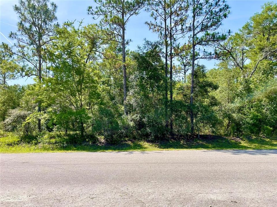 En Venta: $28,000 (0.31 acres)