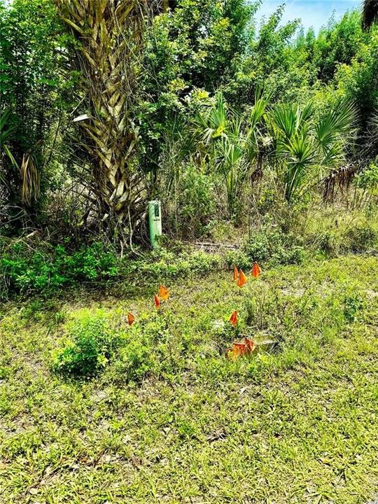 最近售出: $40,000 (0.23 acres)