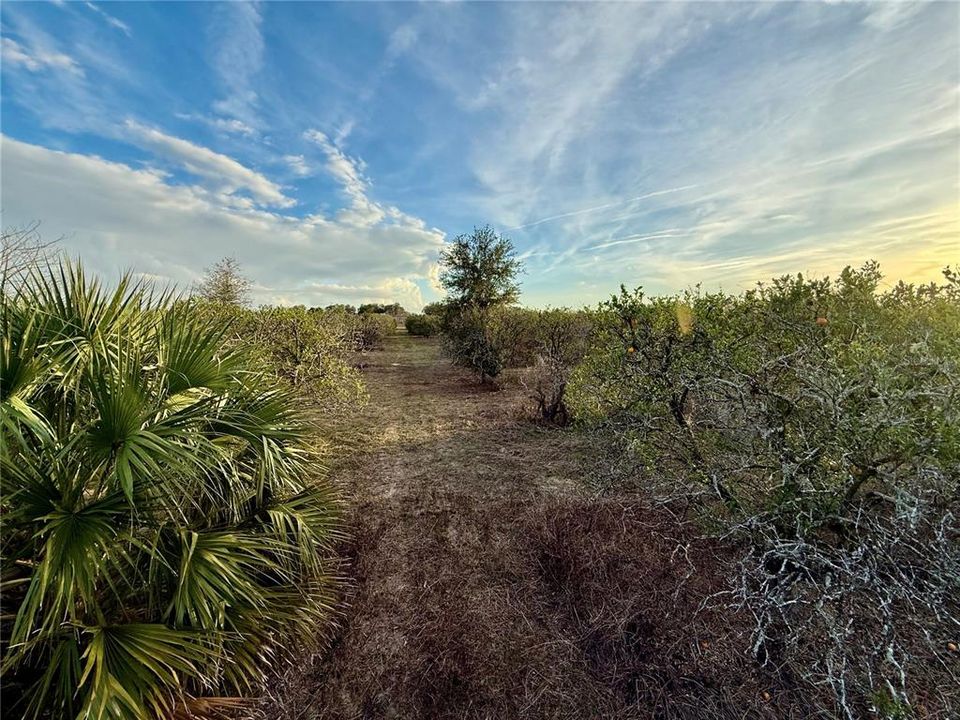 For Sale: $145,000 (3.00 acres)