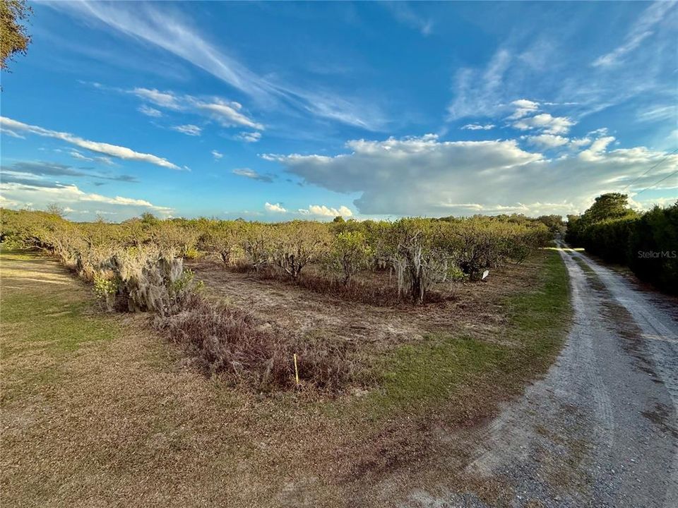 For Sale: $145,000 (3.00 acres)