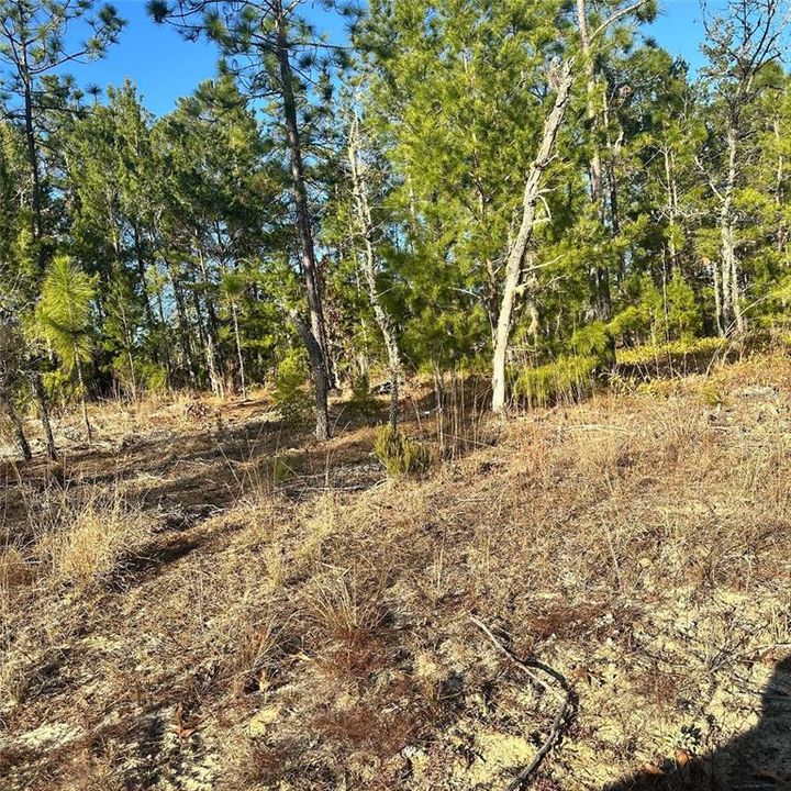 待售: $35,000 (0.26 acres)