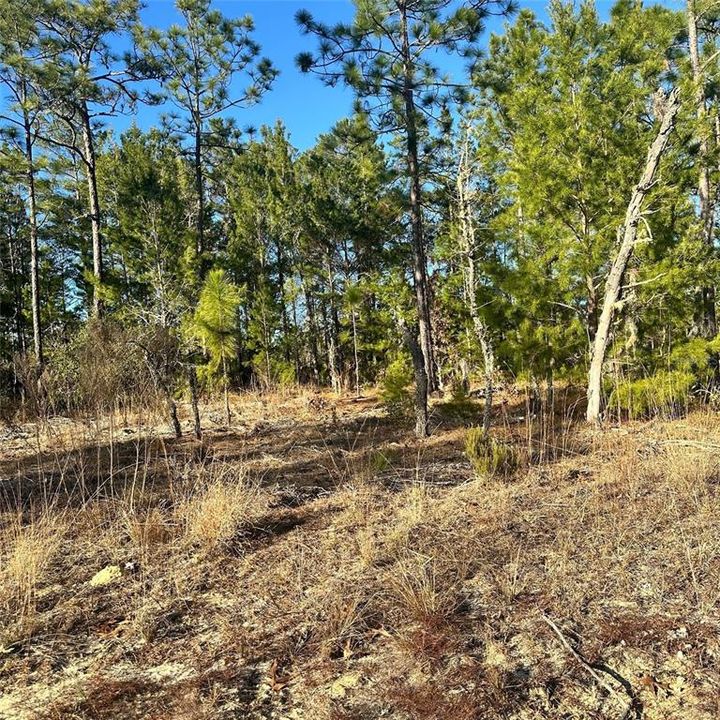 待售: $35,000 (0.26 acres)